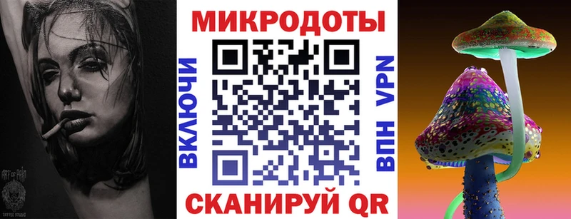 Псилоцибиновые грибы Psilocybe  Купить  Черноголовка 