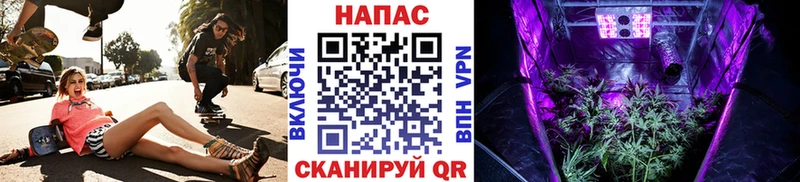 Шишки марихуана AK-47  Купить закладки  Черноголовка 